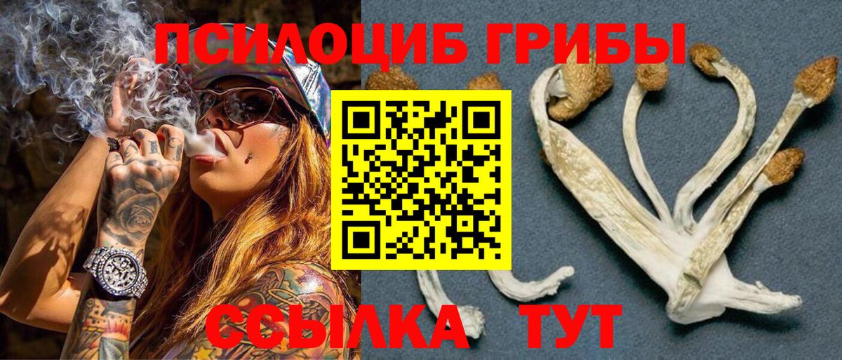 Галлюциногенные грибы Cubensis  Псилоцибиновые грибы GOLDEN TEACHER  Гусев  Вход с VPN 